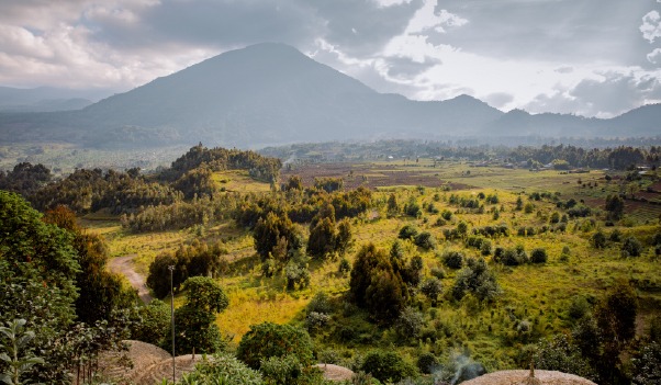 Rwanda Volcanoes National park